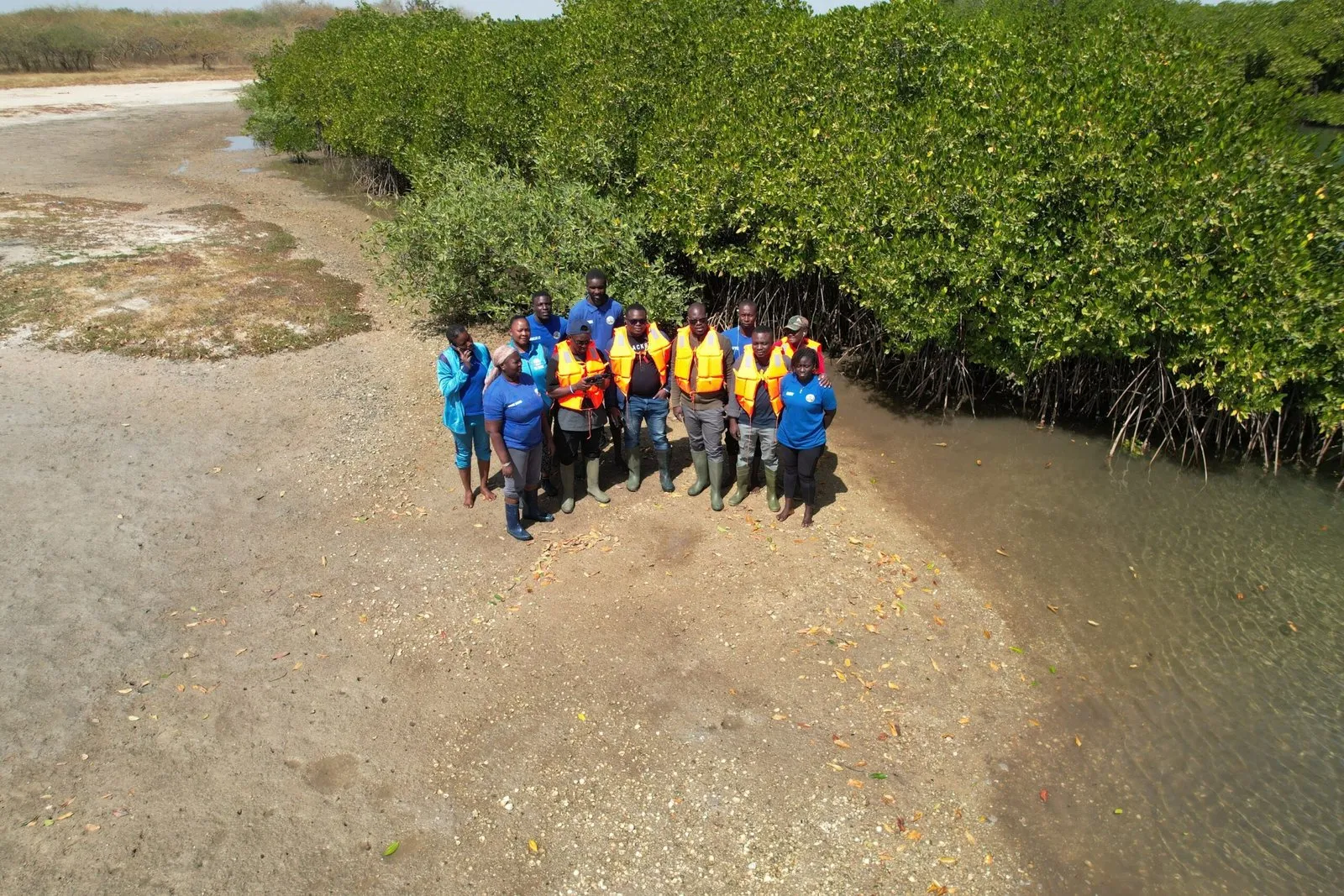 Aerial view of the wetland visited for World Wetlands Day