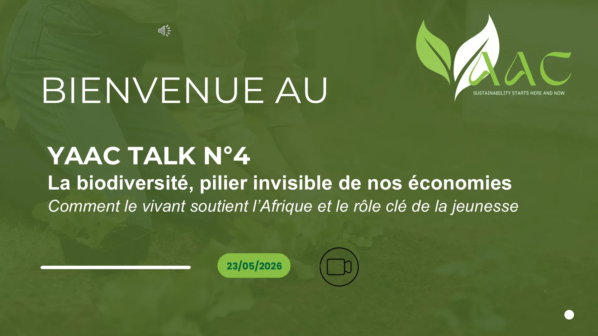Poster for the fourth YAAC Talk, on biodiversity and African economies