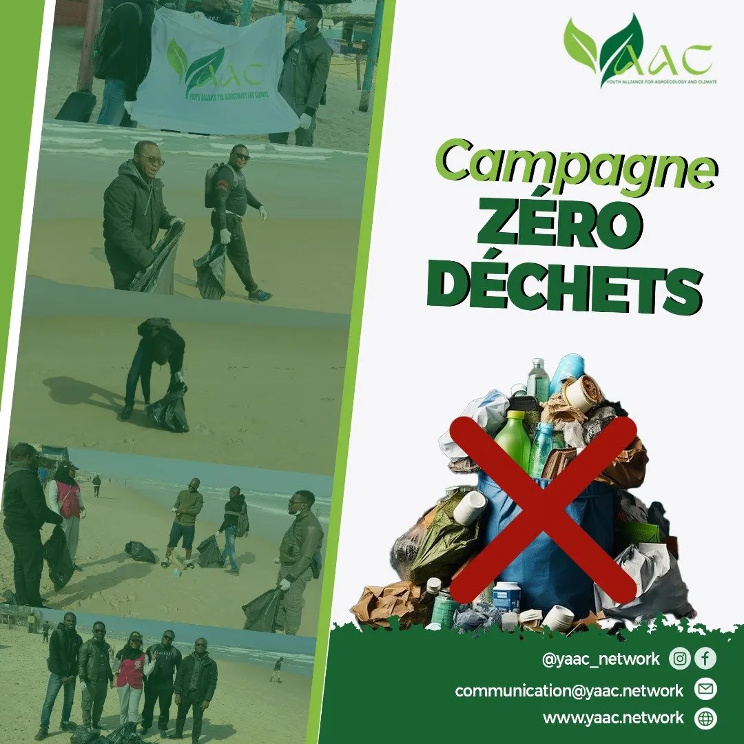 YAAC members during the beach clean-up in Dakar