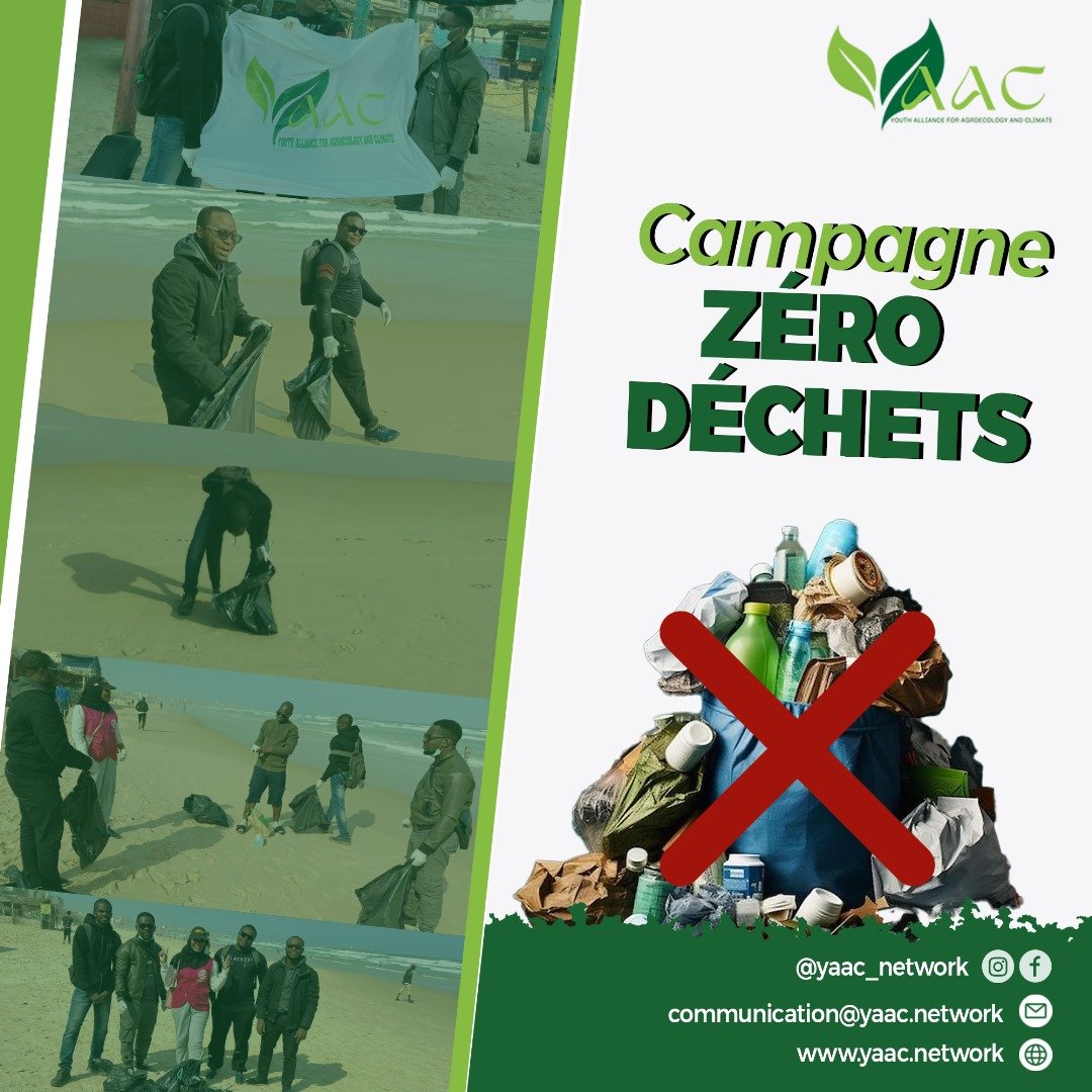 International Zero Waste Day: YAAC takes action for clean beaches in Dakar!